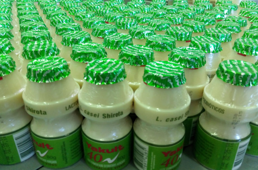 Leite fermentado Yakult 40 completa 20 anos de Brasil