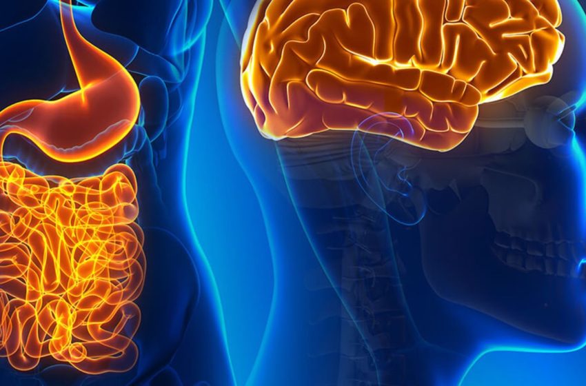 De acordo com especialista, intestino equivale a segundo cérebro