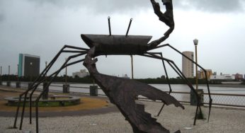 (Re)Leia o manifesto Caranguejos com Cérebro
