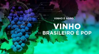 Vinho Nacional acompanha o sucesso do agro brasileiro