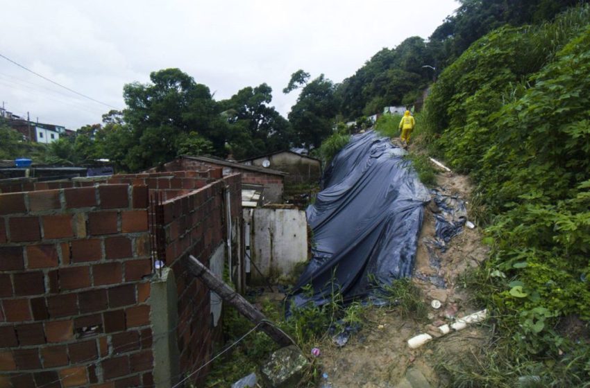  Mudanças climáticas: há tempo de evitar uma catástrofe global?