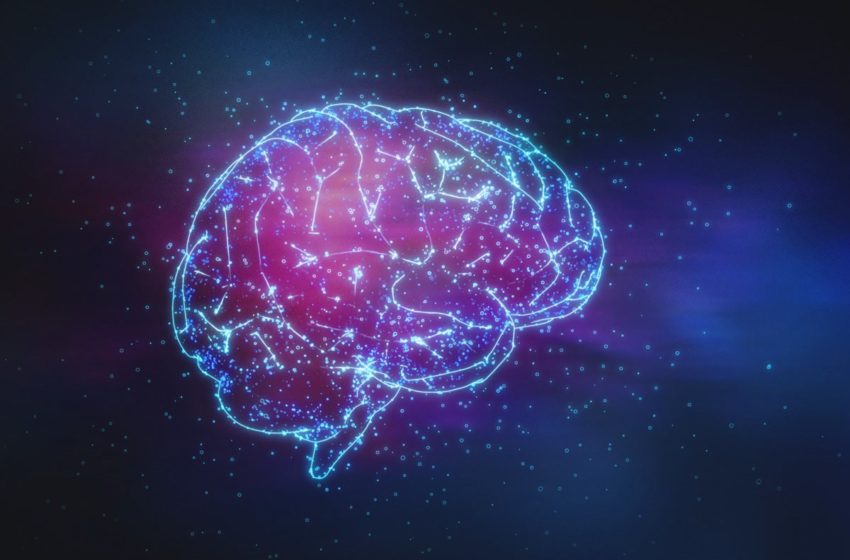  Do que estamos falando, quando falamos em inteligência?