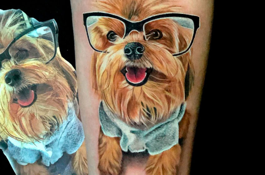  A tatuagem se torna a mais nova forma de homenagear animais de estimação