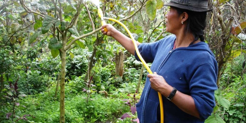  Ecologia espiritual e física quântica: carta à comunidade etnobiológica