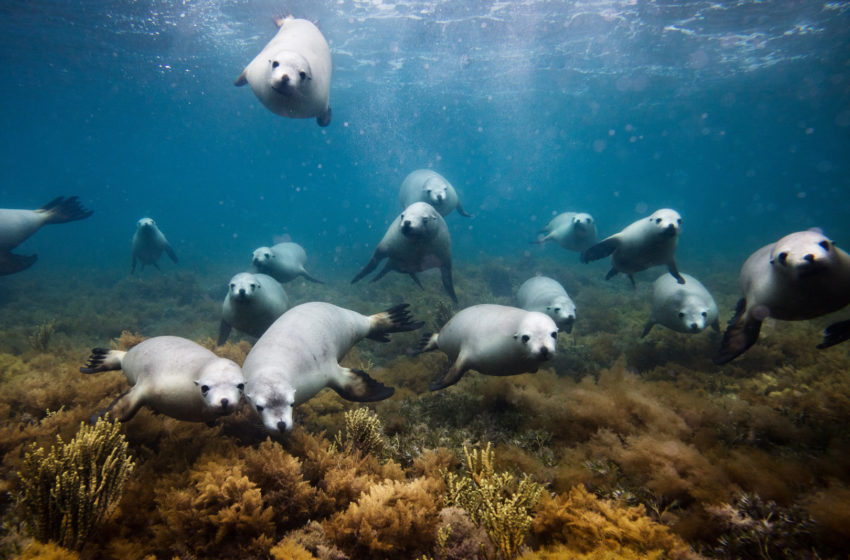 Marina Week, maior evento do mar no Brasil, acontece  de 1 a 5 de junho