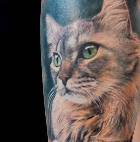 Tattoo Week Rio começa dia 20 (sexta) com concurso da melhor tatuagem
