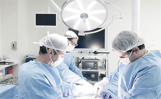  Procedimentos guiados por imagem combatem doenças, como endometriose e mioma