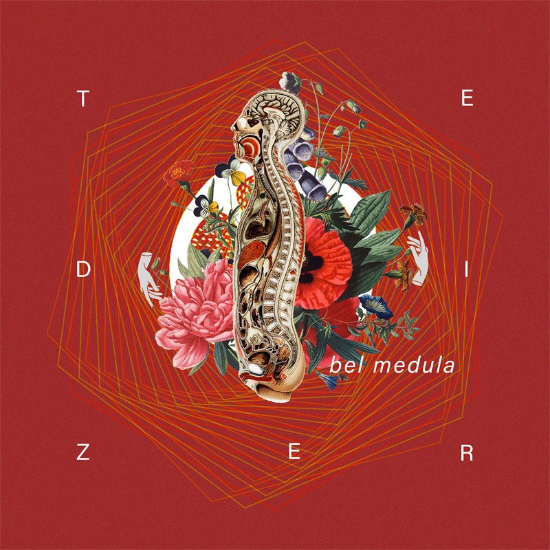 Casulo Cria foi responsável pela criação e concepção da capa