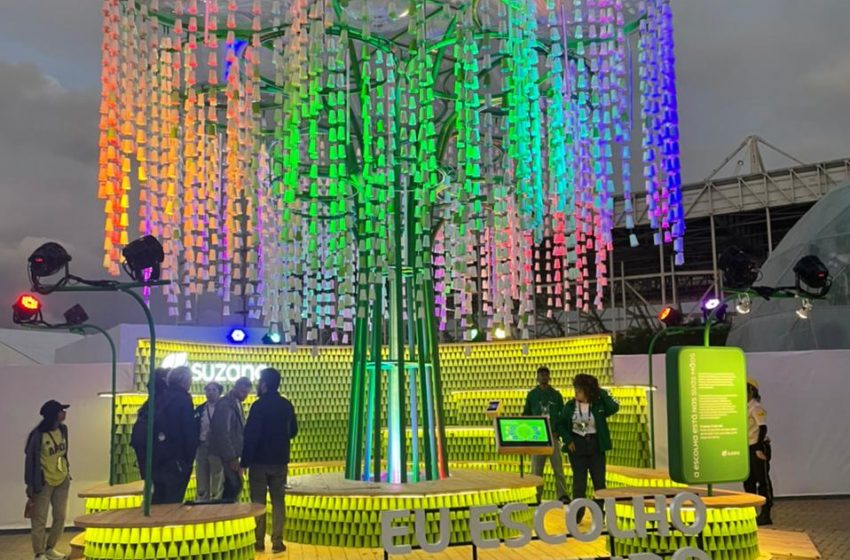  Suzano exibirá árvore feita com copos de papel no Rock in Rio Brasil 2022