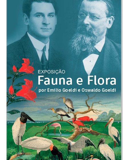  Exposição sobre a Fauna e Flora Brasileira une trabalhos de Suíços em Belém-PA