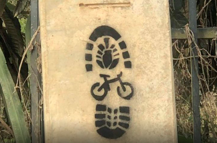 Anel do Pinhão: Paraná ganha novo circuito de cicloturismo