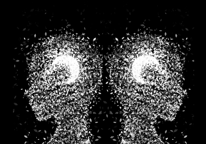  Autor une cinema e literatura como forma de expressão artística