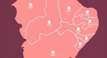 Cajueira lança banco de fontes do Nordeste