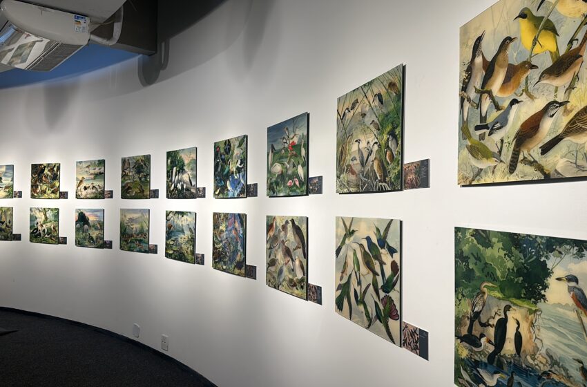  Exposição ‘O Legado Suíço Brasileiro na Amazônia’ estará no Museu Catavento em SP