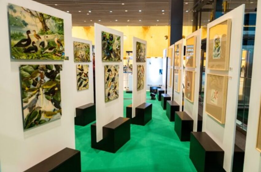  Exposição com acervo de Goeldi segue para o Rio de Janeiro