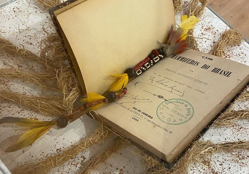  Exposição Emilio Goeldi e as Aves Amazônicas chega em São José dos Campos