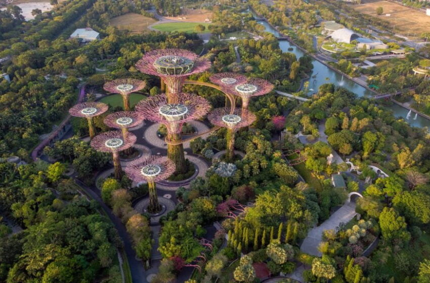 Solarpunk: o subgênero da ficção científica que aborda questões climáticas e ecológicas
