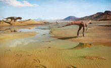 Dinossauros no Maranhão