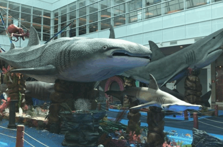  Exposições temáticas podem aliar diversão e aprendizado