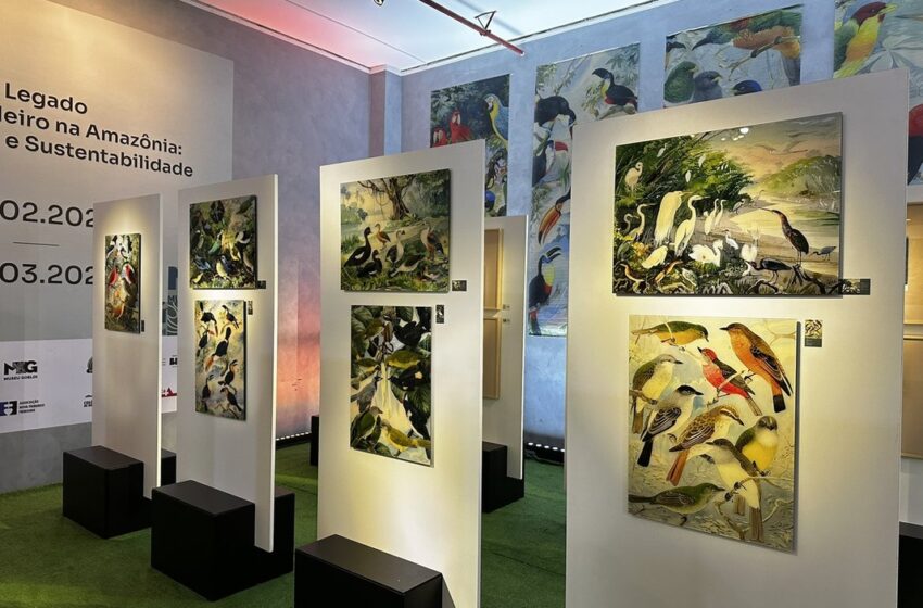  Exposição “Legado Suíço Brasileiro na Amazônia” será inaugurada em Manaus