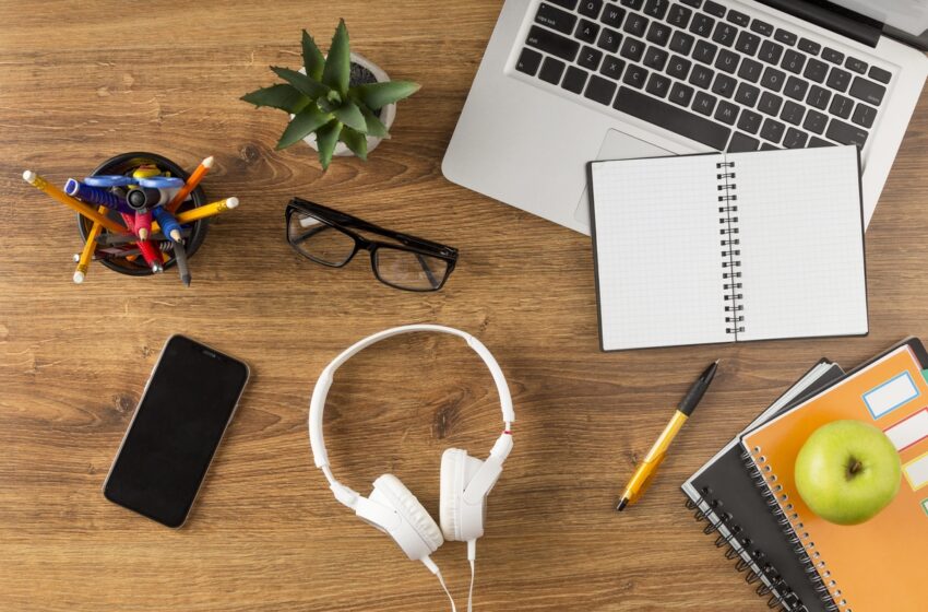  Especialista ensina como hobby vira negócio lucrativo