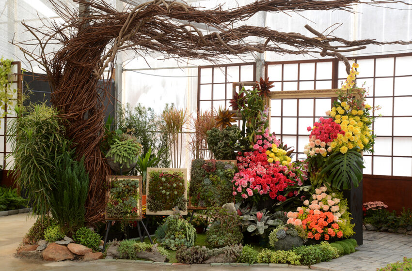  Festa de Flores e Morangos de Atibaia acontece em setembro