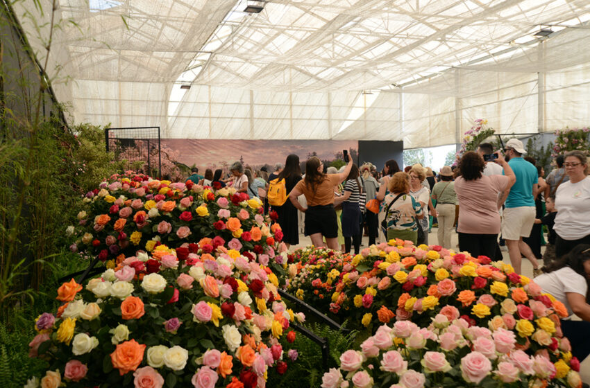  Atibaia é destaque nacional de produção de flores