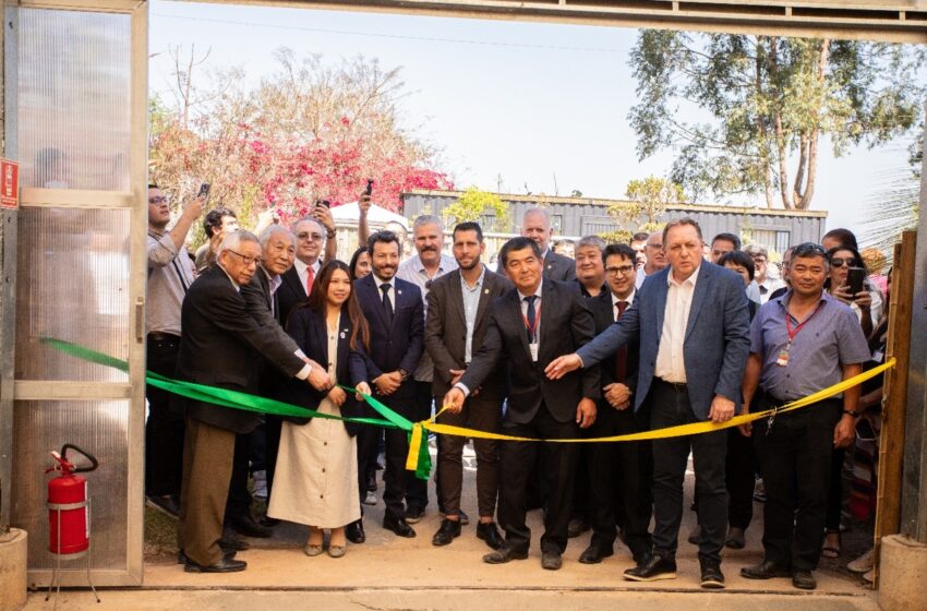  Festa de Flores reúne autoridades e grande público