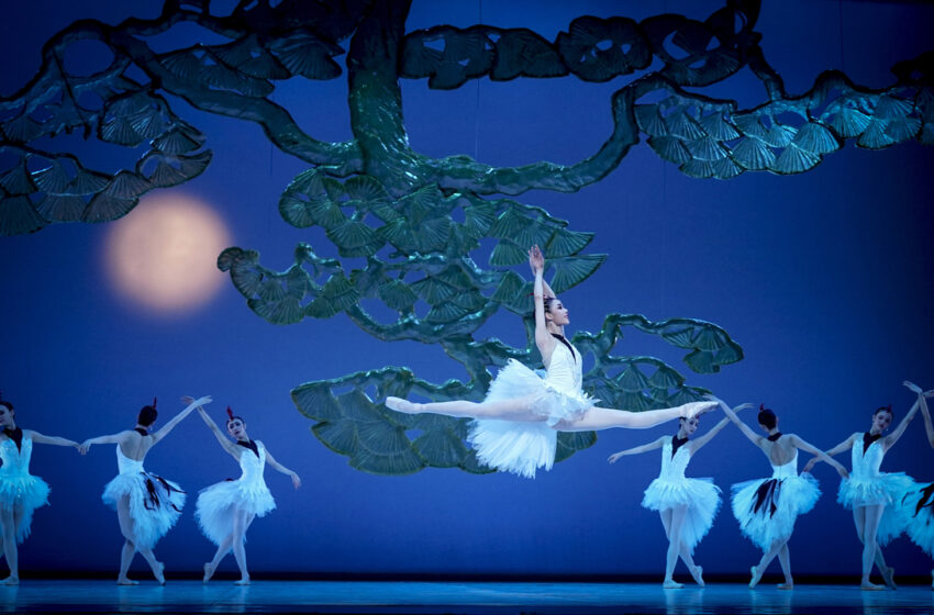  Balé Nacional da China celebra o Ano Novo Chinês no Brasil