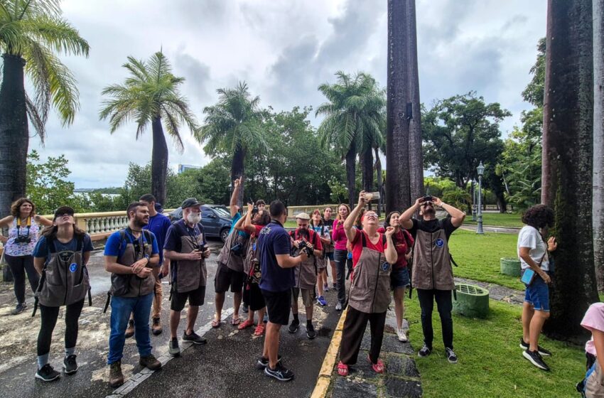 Nona edição do Vem Passarinhar Recife aterrissa na Praça de Casa Forte