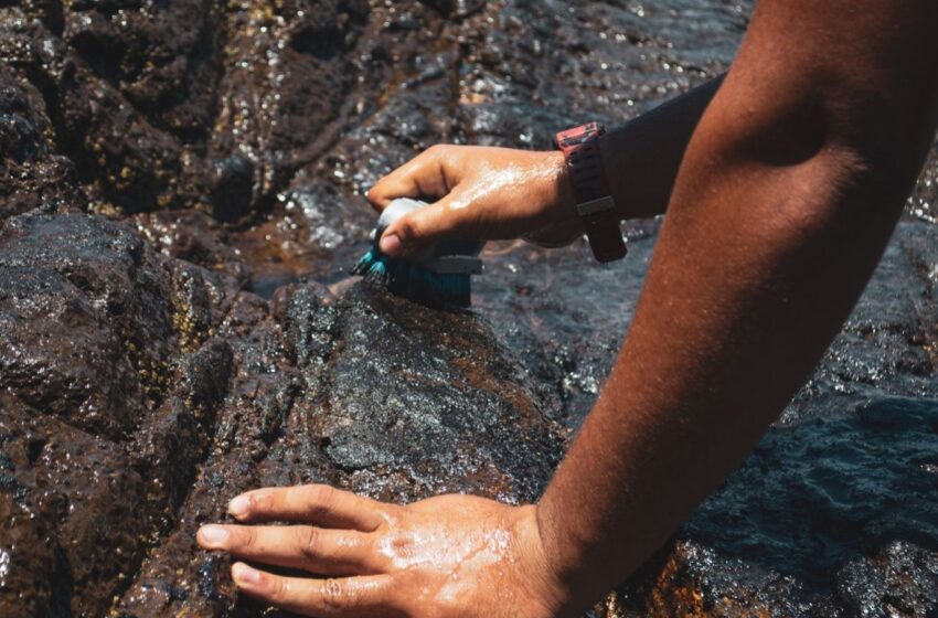  Estudo revela exposição dupla e prolongada de pescadores ao petróleo no litoral de Pernambuco