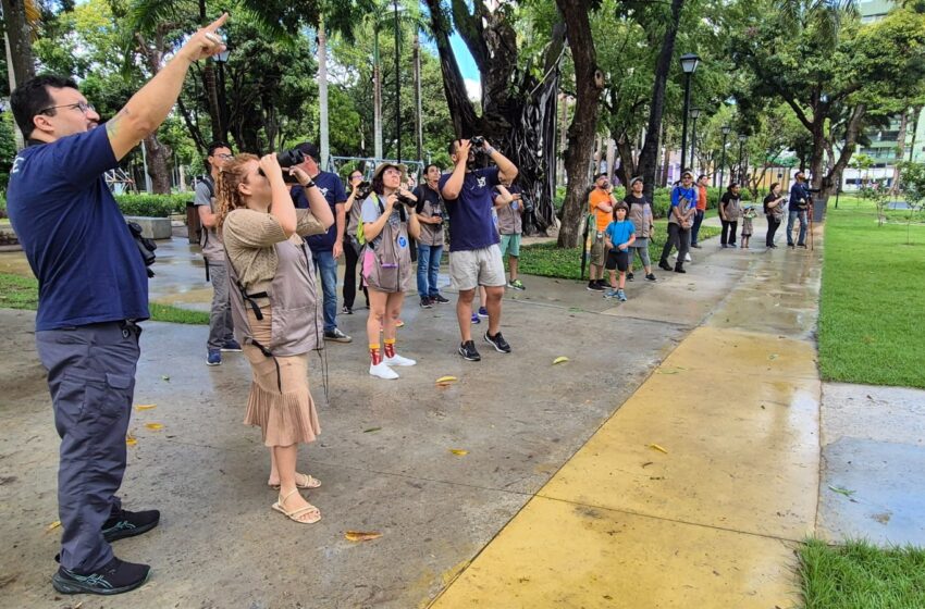  Vem Passarinhar Recife de volta ao Sítio Trindade em sua 12ª edição