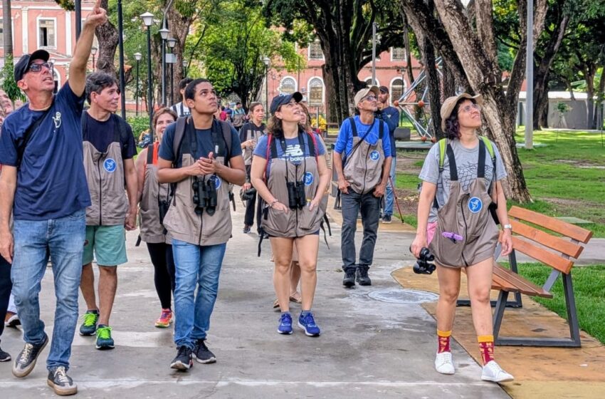  Vem Passarinhar Recife realiza sua 13ª edição neste domingo na UFRPE