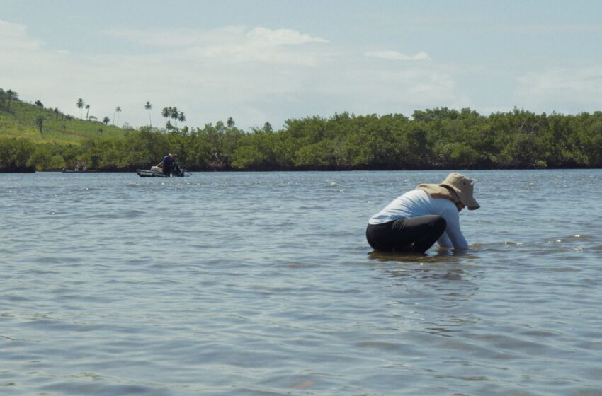 Documentário “Rexistir” lança olhar sobre a desigualdade no acesso à água em Pernambuco